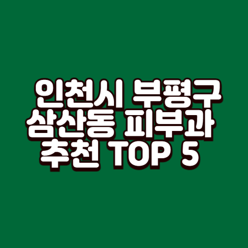 인천시 부평구 삼산동 피부과 추천 TOP 5