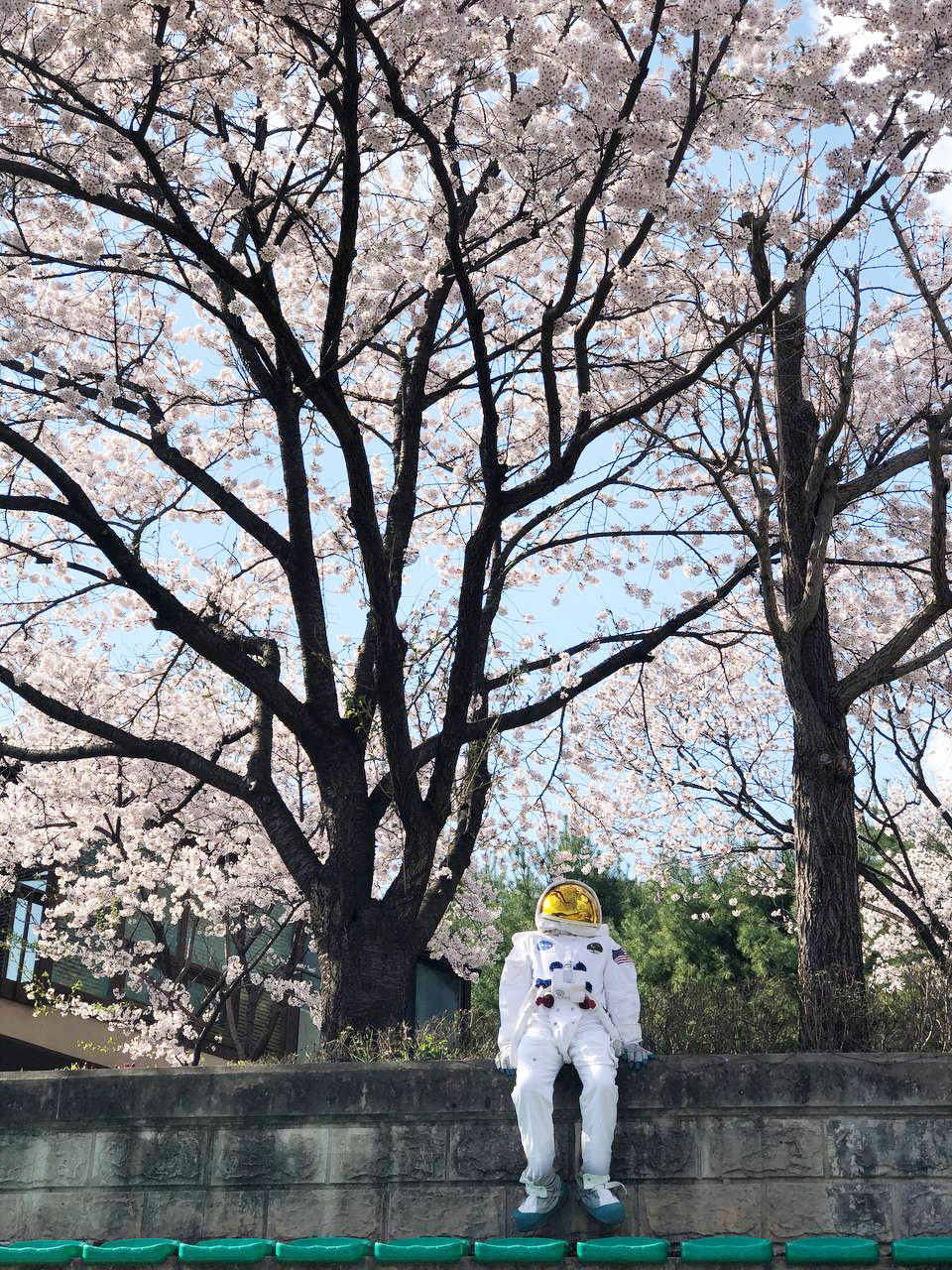 송암스페이스센터 우주인 모형물과 벚꽃 사진