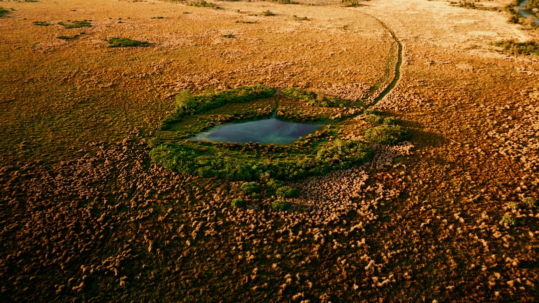 'Sinkhole'