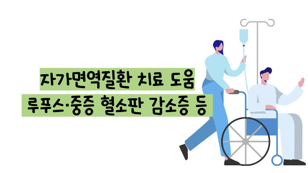 면역 글로불린 주사