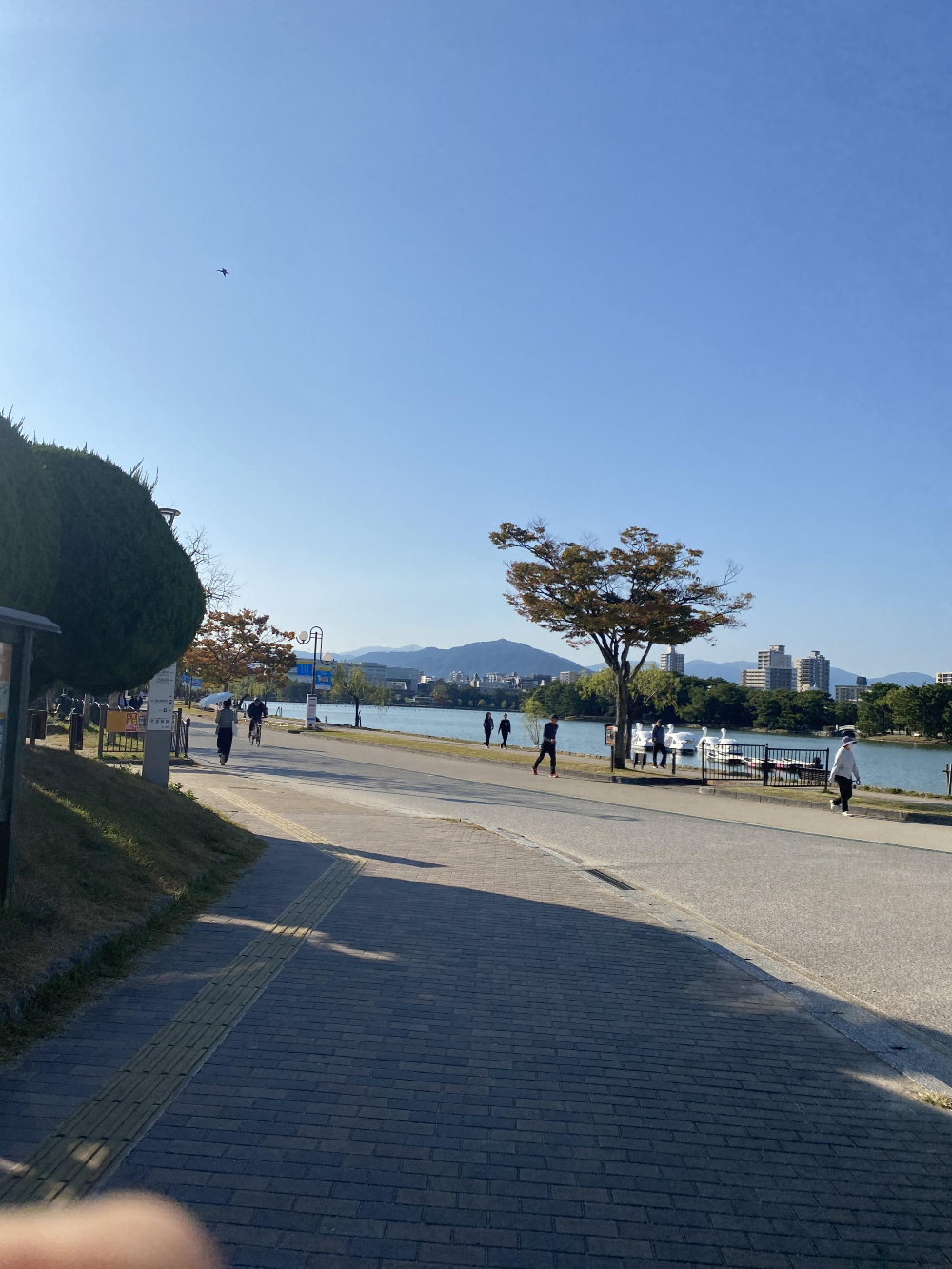 후쿠오카 오호리 공원