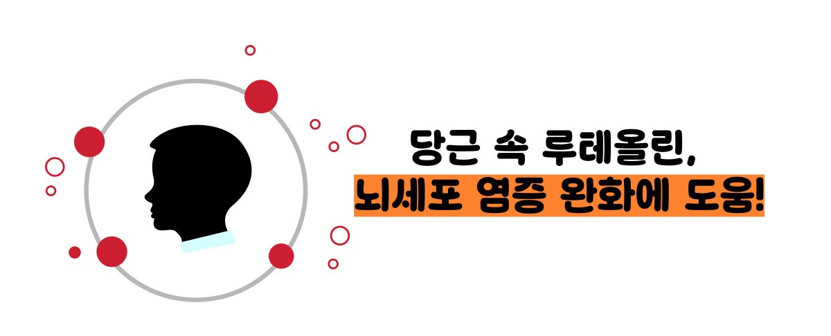 당근 효능 부작용