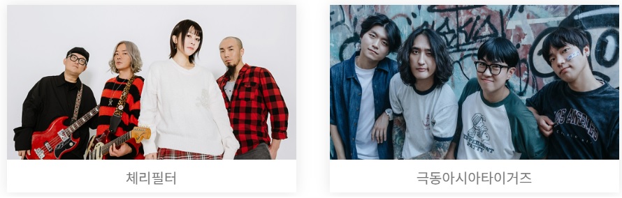 장성 황룡강 가을꽃 축제