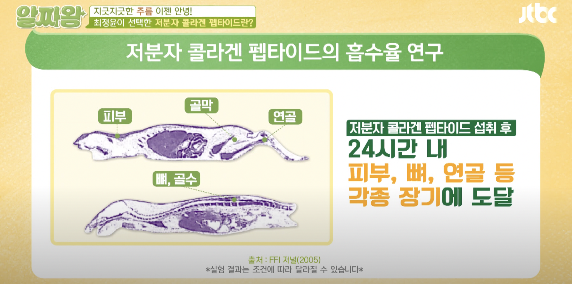 저분자 콜라겐 펩타이드 효능