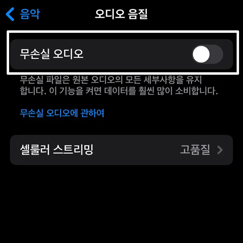 무손실-오디오-활성화