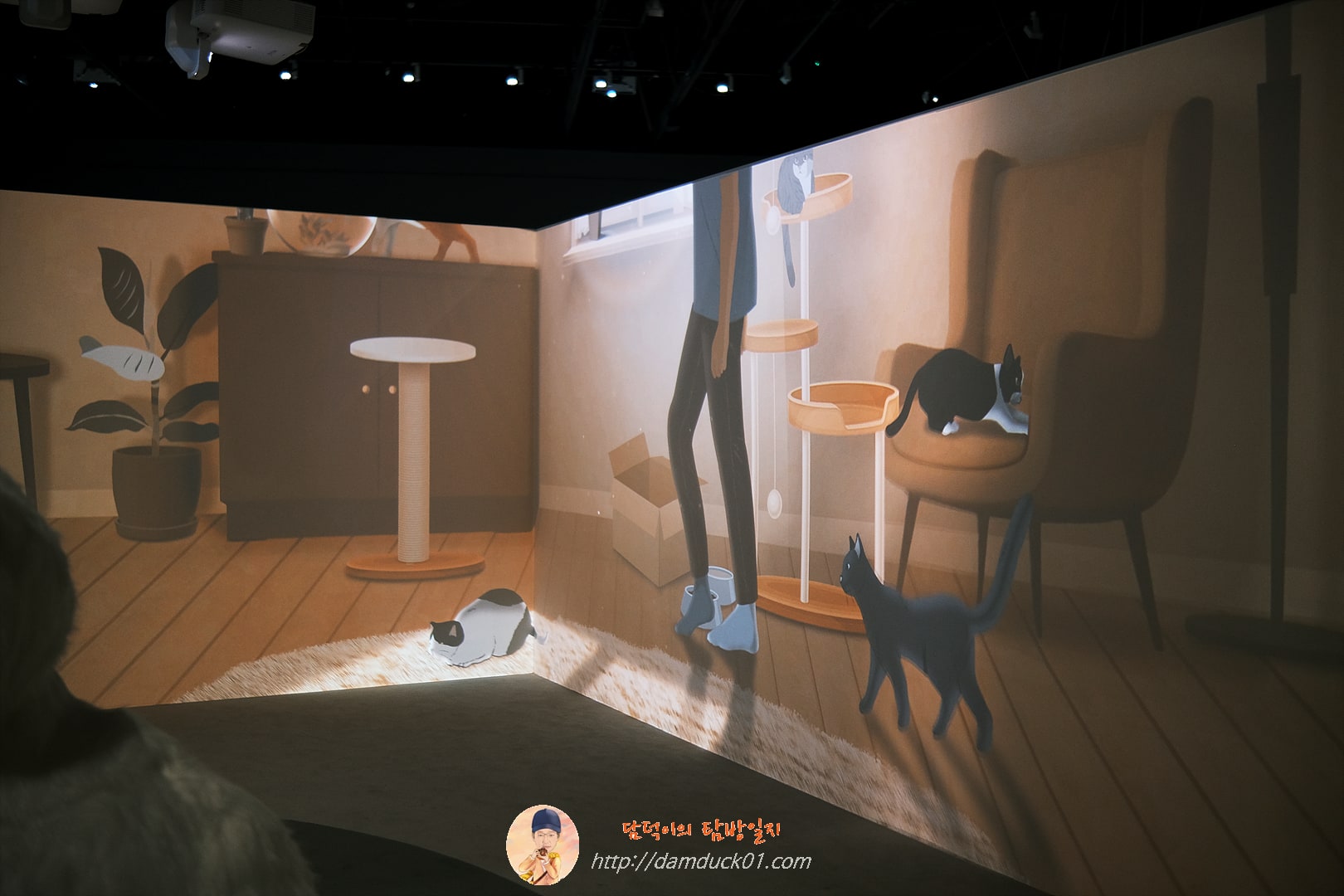 안방을 차지한 고양이