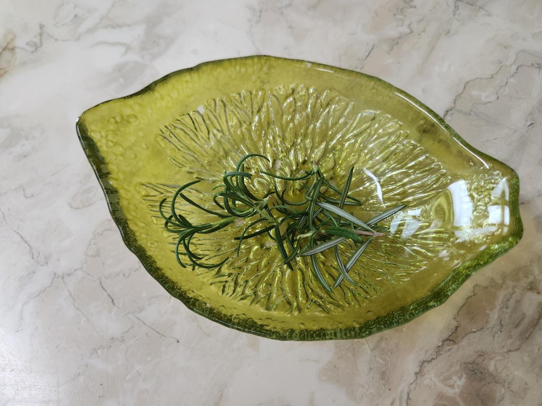로즈마리 수확하기