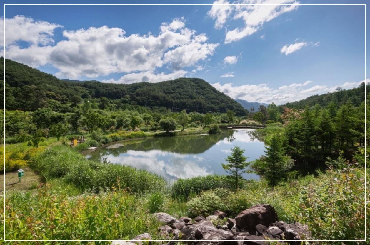 봉화 가볼만한곳 베스트10 국립백두대간수목원