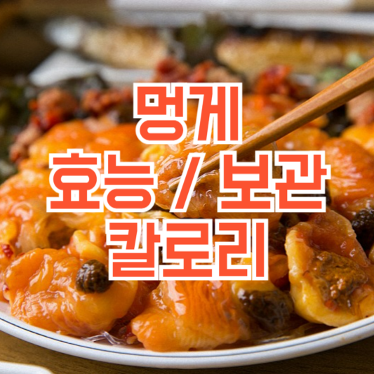 멍게 효능, 보관은 어떻게해야!? 칼로리!?