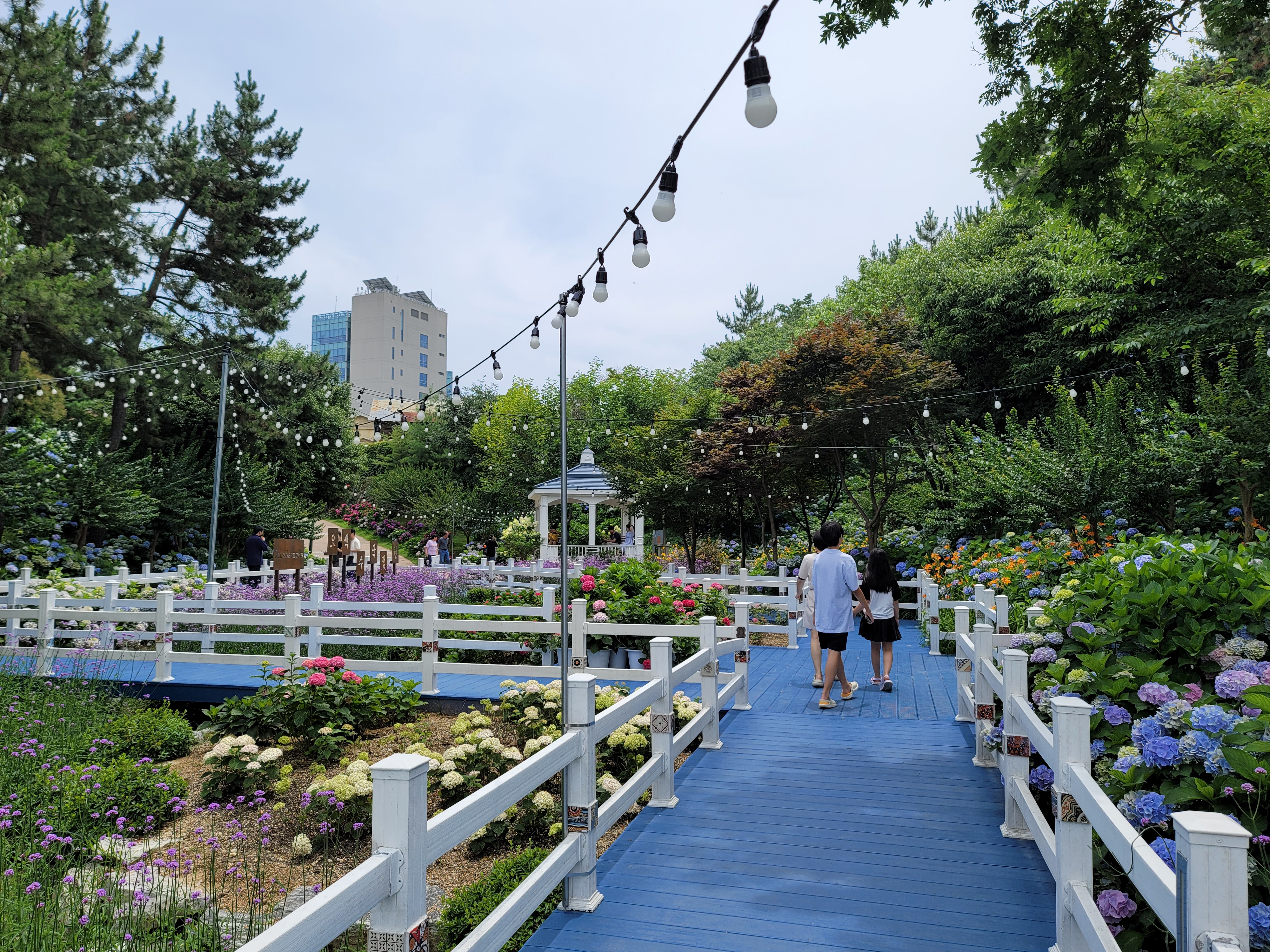 장생포 고래문화마을 오색수국정원