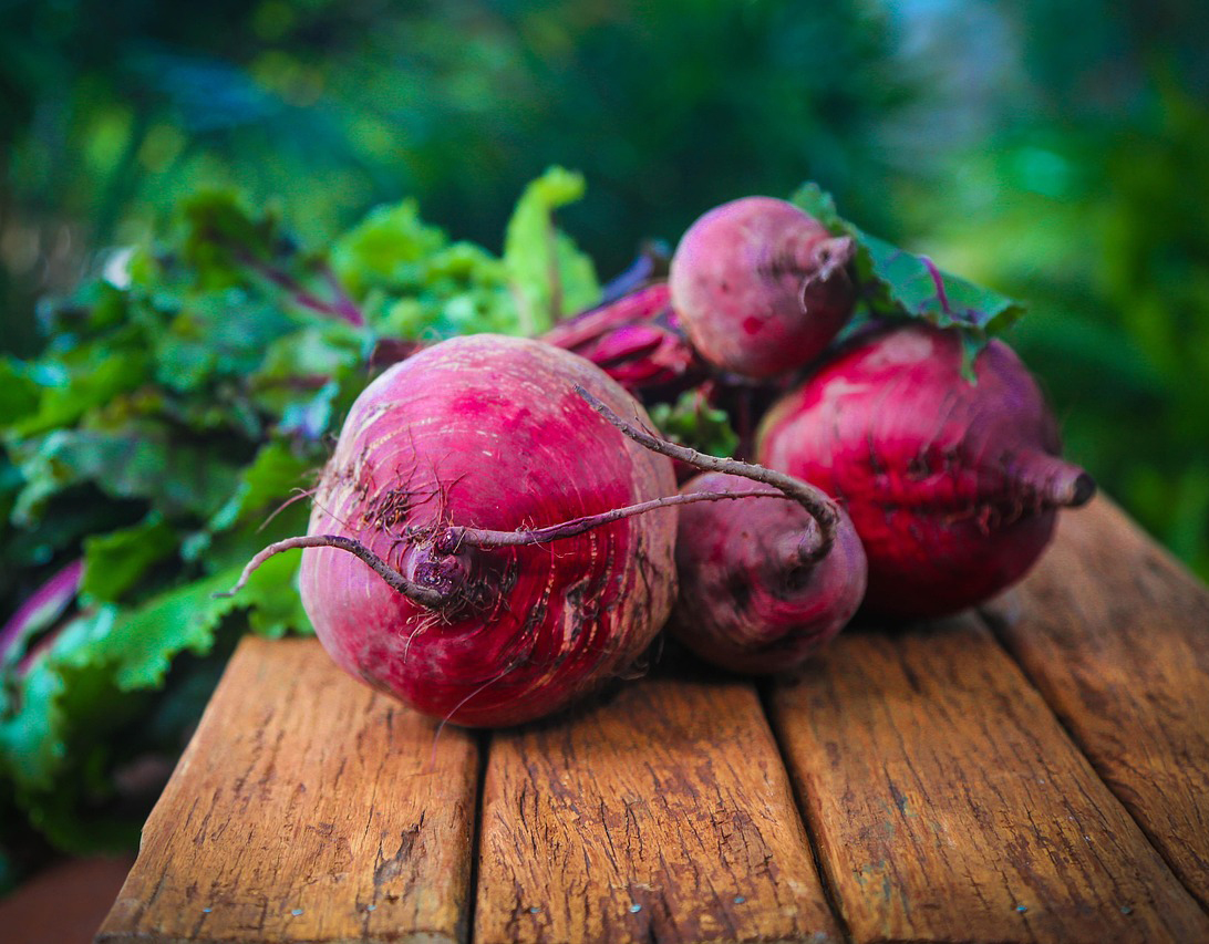고향사랑 기부제