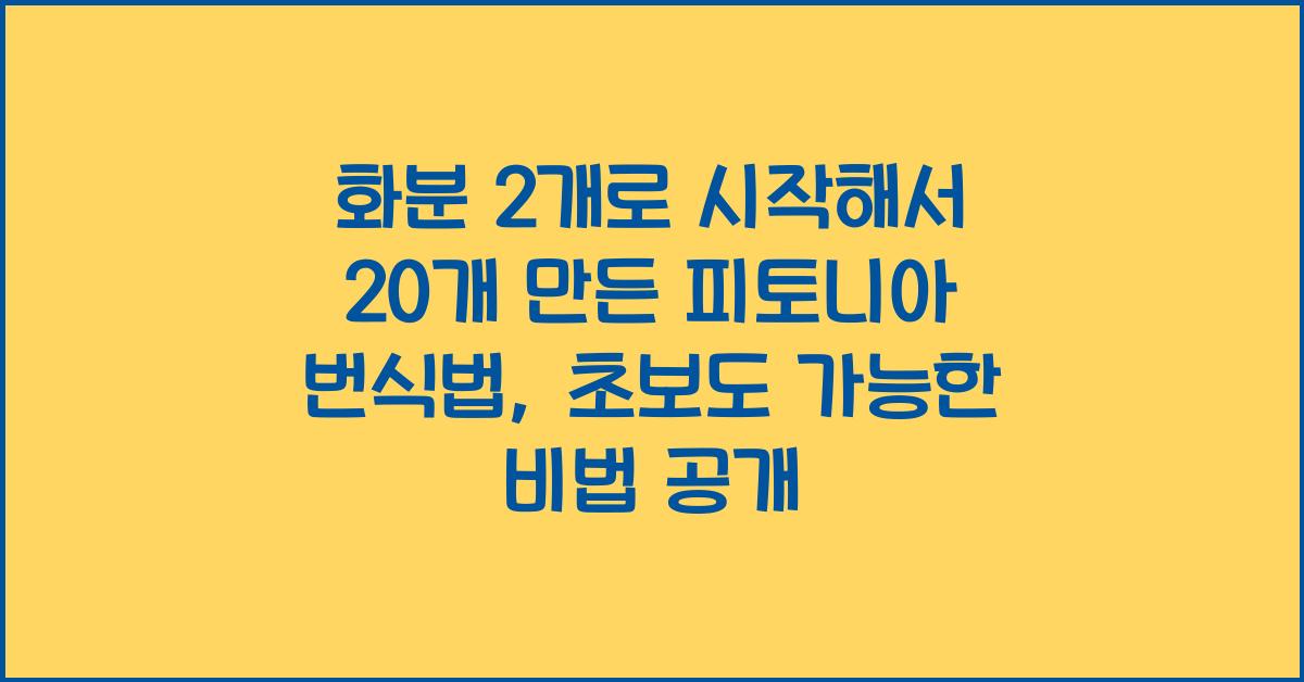 화분 2개로 시작해서 20개 만든 피토니아 번식법