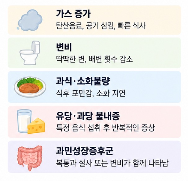가스 증가, 변비, 과식 소화불량, 유당 과당 불내증, 과민성장증후군의 특징을 비교한 이미지