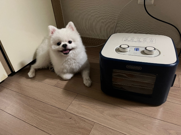 간식