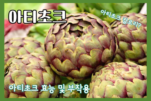 아티초크 효능 6가지와 부작용, 아티초크 칼로리