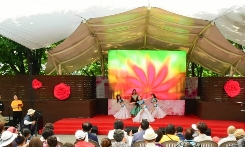 서울장미축제-버스킹-장면