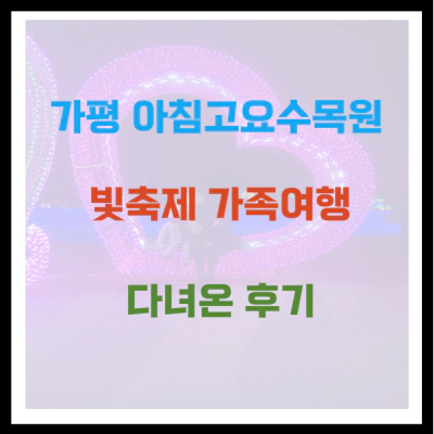 가평 아침고요수목원 빛축제 가족여행 후기
