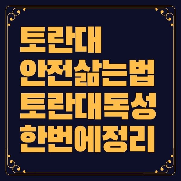 토란대 삶는 법 독성