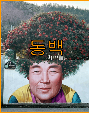 신안 자은도 가는방법