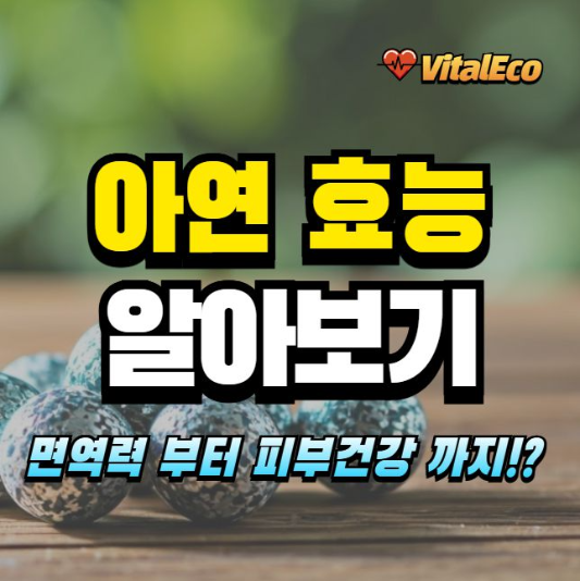 아연 효능 알아보기