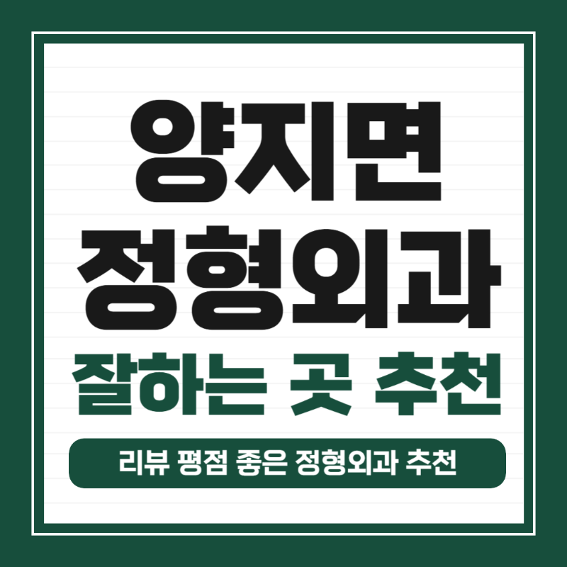 용인시 처인구 양지면 정형외과 유명하고 잘하는 곳 추천 TOP 5