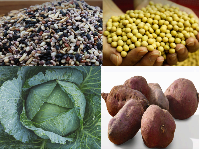 남성 갱년기에 좋은 음식