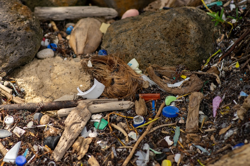 미세플라스틱 관련 이미지