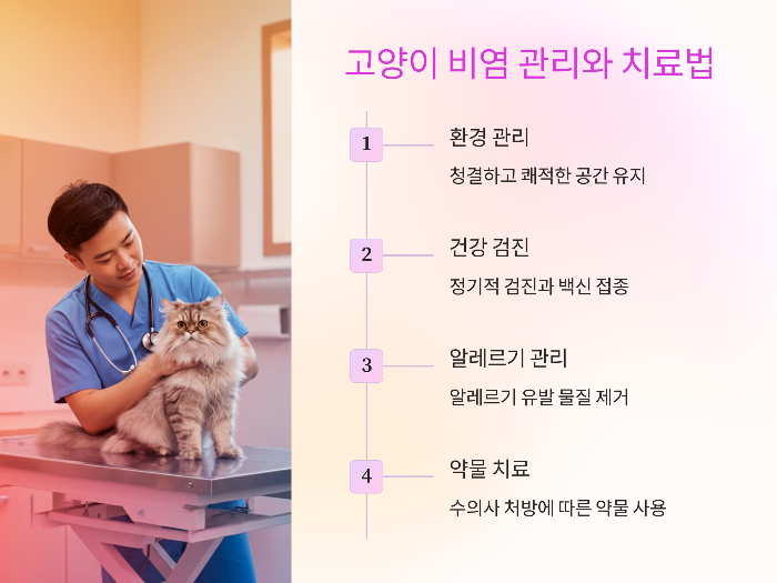 고양이 비염 관리와 치료법