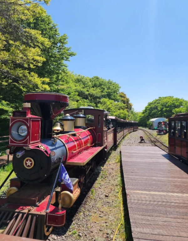 5월 국내여행 추천