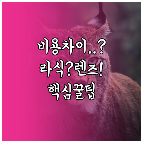 시력교정 비용 차이 분석 및 라식 렌..