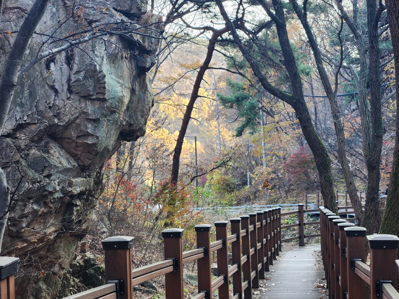 수리산-바위-데크길