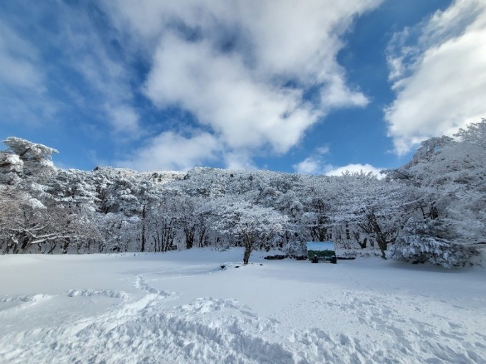 한라산 눈꽃축제