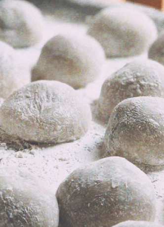 가스트로 투어 정보