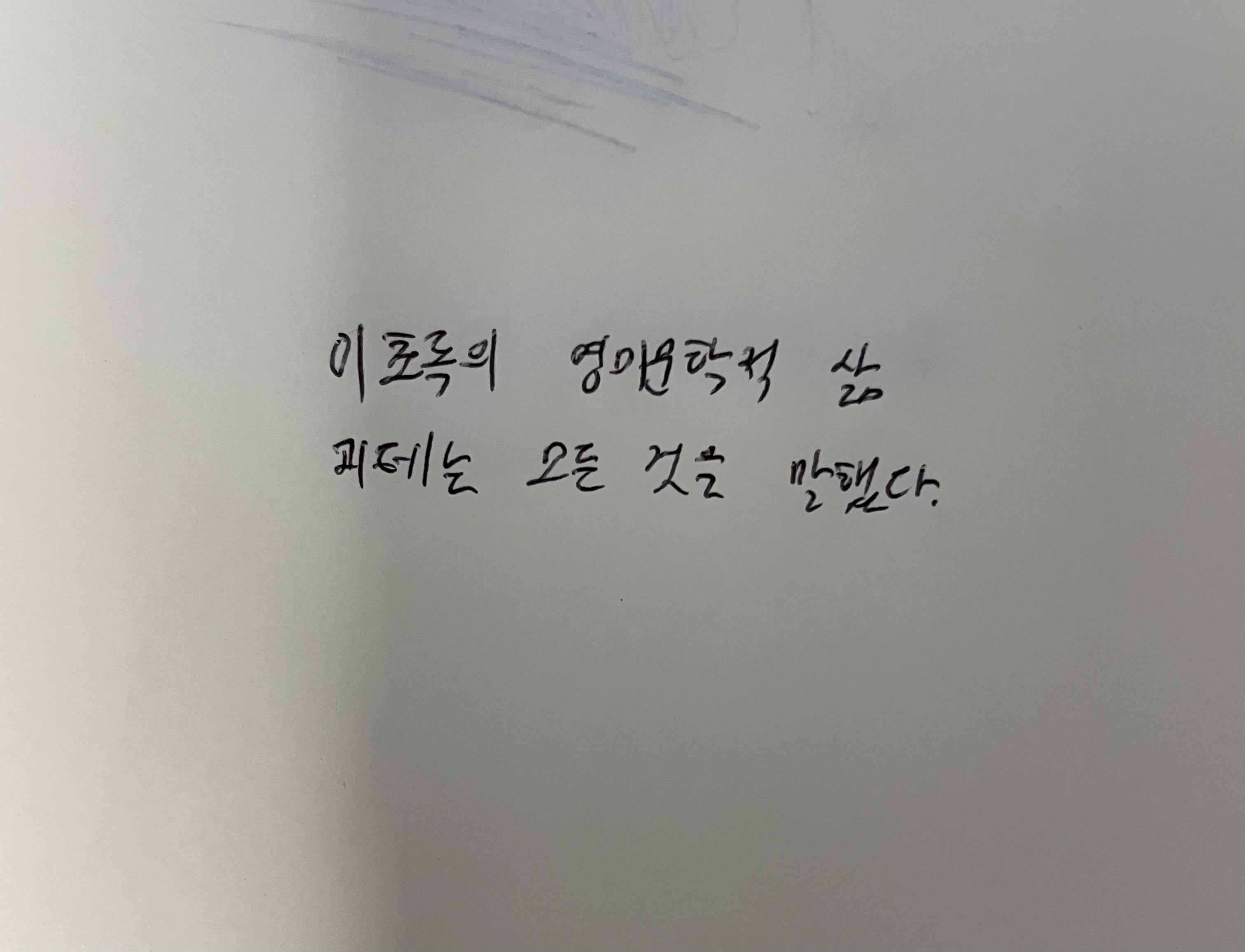이초록의 영미문학적 삶- 괴테는 모든 것을 말했다 스즈키 유이 손글씨
