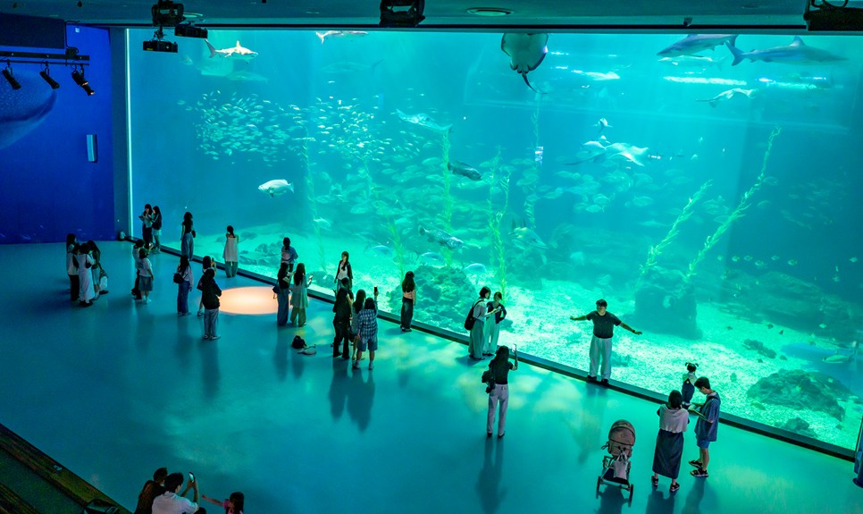 제주 동쪽 가볼만한곳 (아쿠아플라넷 제주)