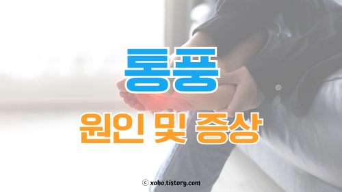 통풍 원인 및 증상