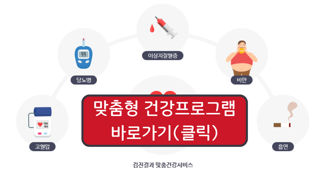 맞춤형 건강프로그램