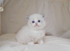 초보자도 쉽게 시작하는 해외ETF 투자 가이드