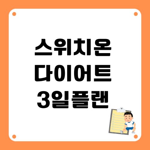 스위치온다이어트 3일플랜