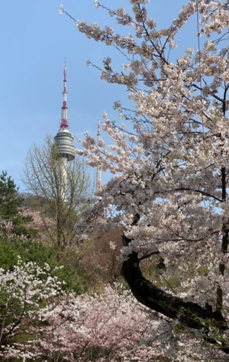 서울타워
