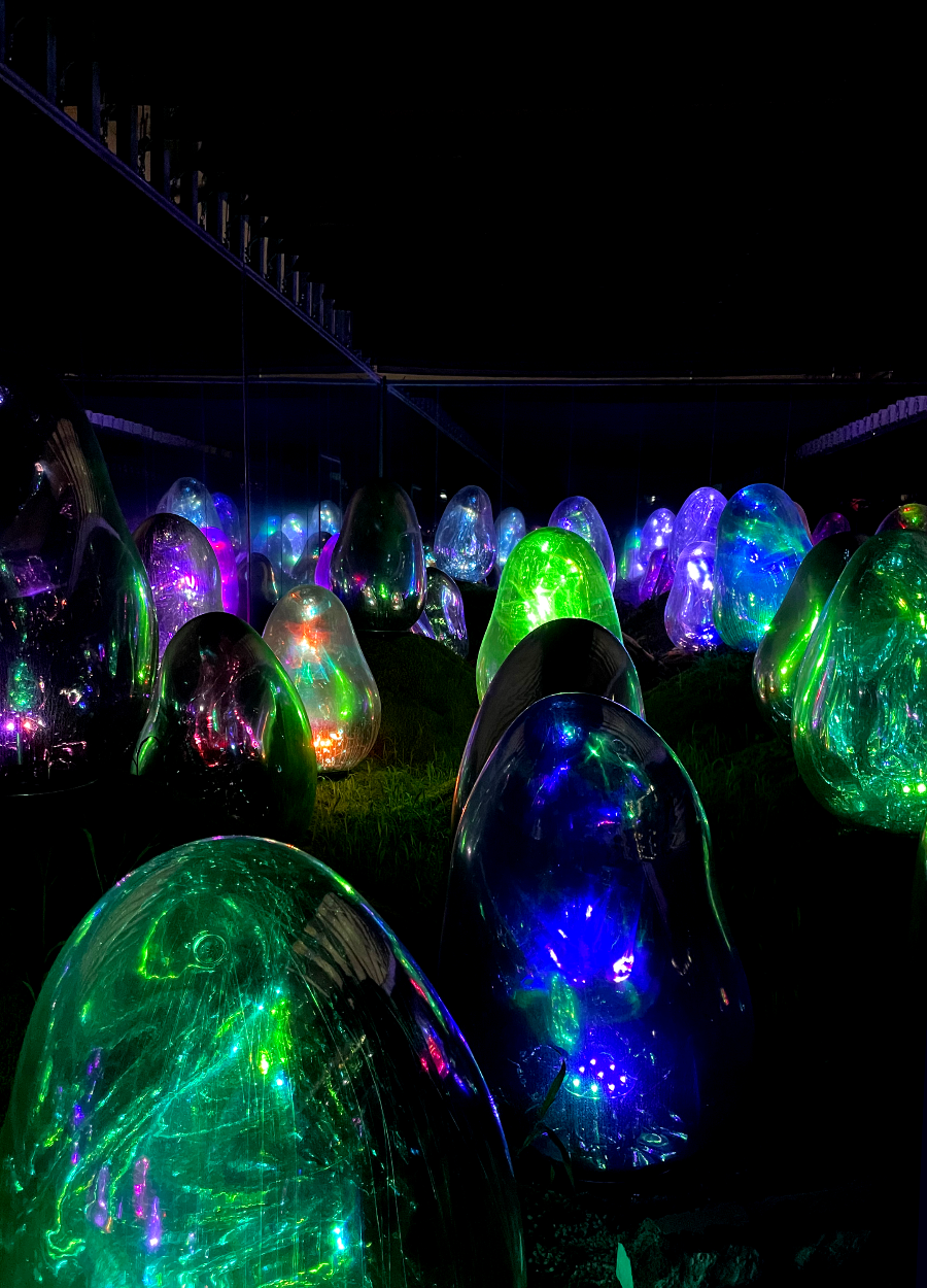 팀랩플래닛 관람 이끼 정원 속 공명하는 소우주, 고체화된 라이트 컬러