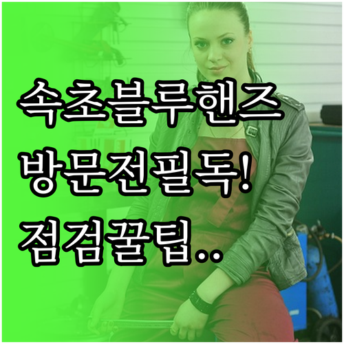 속초 블루핸즈 방문 전 확인사항 및 ..