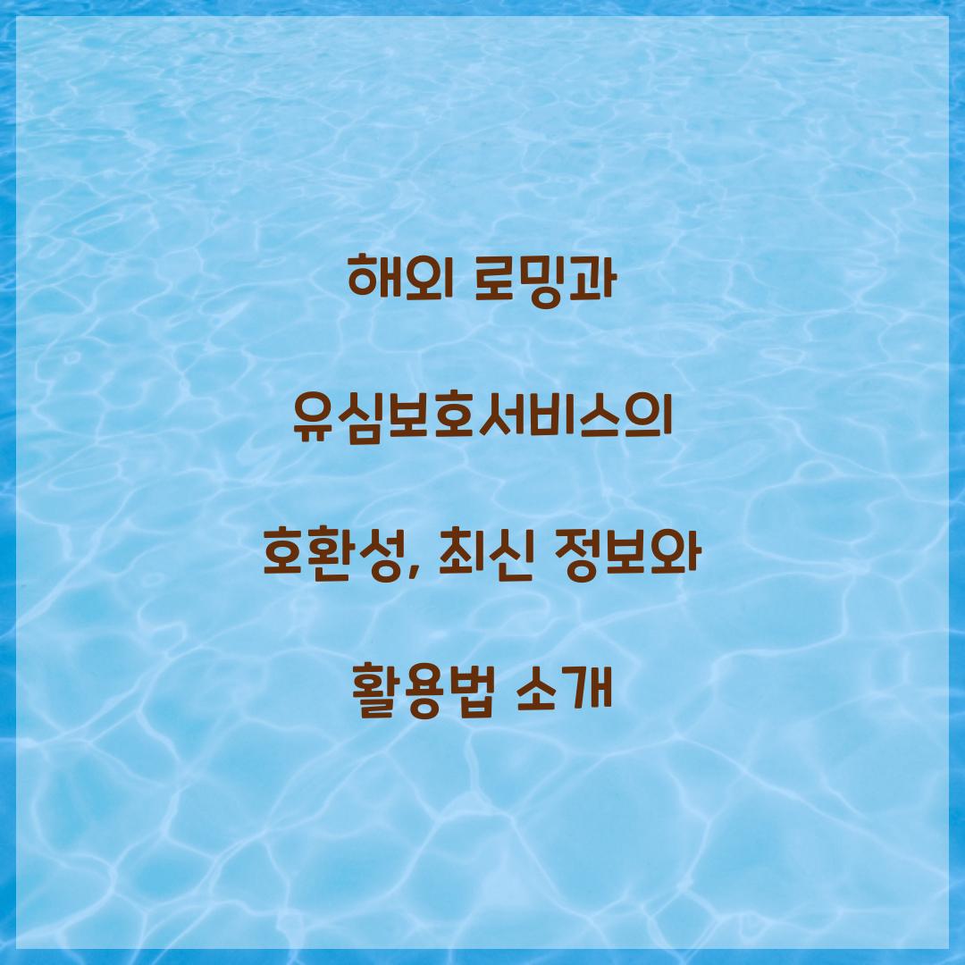 해외 로밍과 유심보호서비스의 호환성