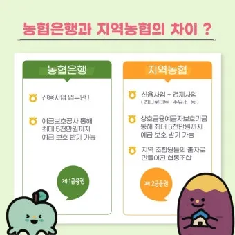 지역농협과 중앙농협 차이점 비교 정리자료_20