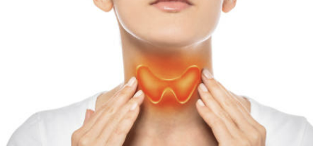 갑상선 기능저하증 증상 좋은 음식 수치 등 알아보기 (24년 Ver)