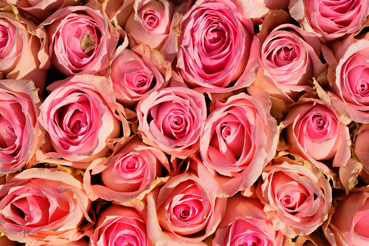 연휴에 즐기기 좋은 축제 사진