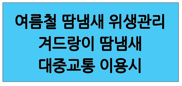 Alt 속성 문제 해결 설명 이미지