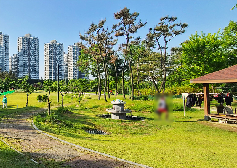 청주 호미골파크골프장. 청주시 상당구 용정동 25 (호미골체육공원 내)