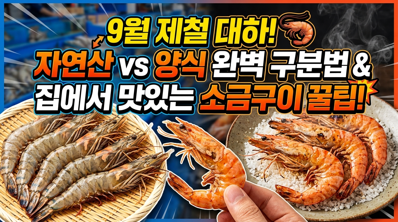 9월 제철 대하 자연산 양식 완벽 구분법 소금구이 꿀팁