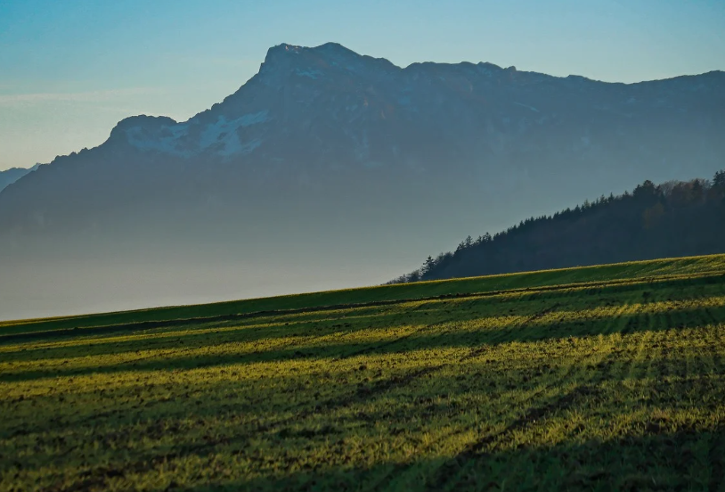 농업경영체 관련 사진